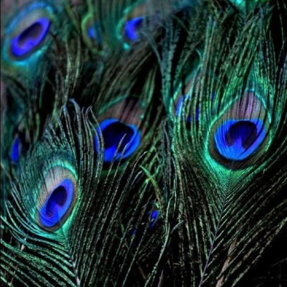 “Showtime” Peacock Bird Feather Statement Earrings - Picture 5 of 12